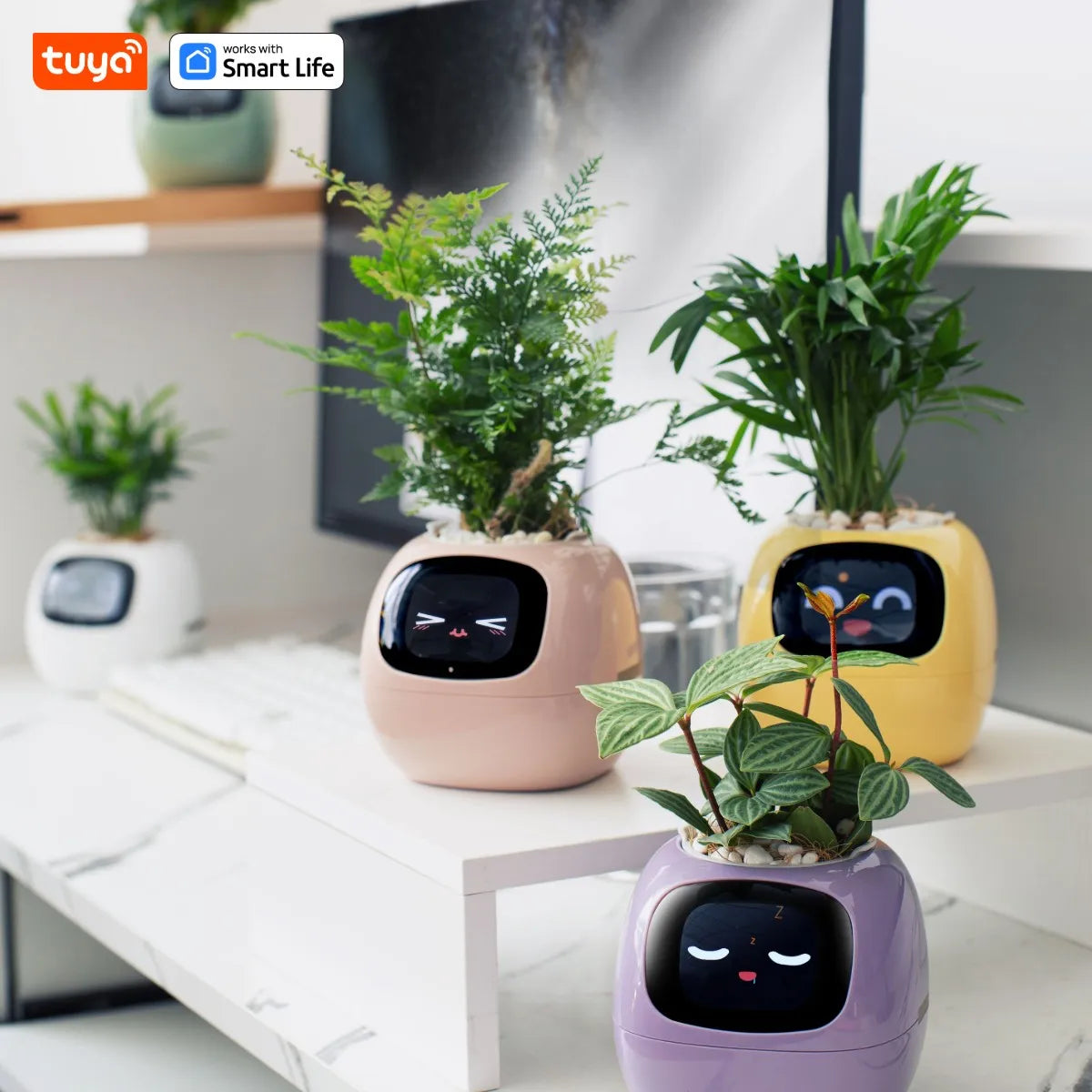 Tuya Ivy Smart Planter with AI, Sensors & 49 Expressions