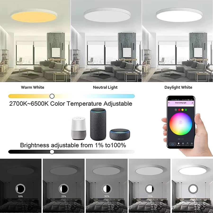Tuya Smart 24W WiFi Ceiling Light RGB, Alexa & Google Control