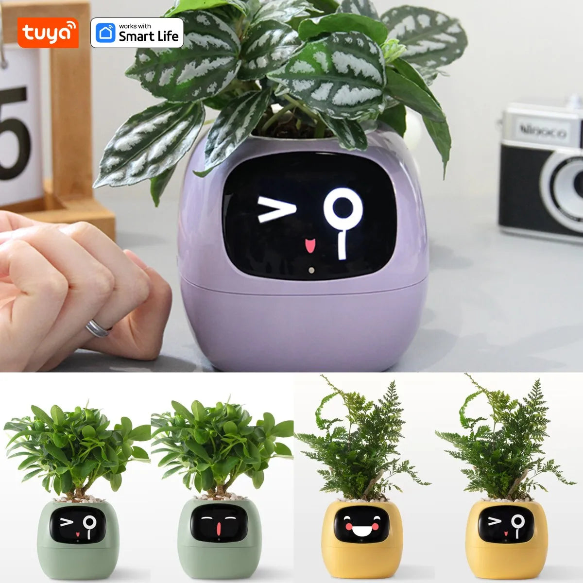 Tuya Ivy Smart Planter with AI, Sensors & 49 Expressions