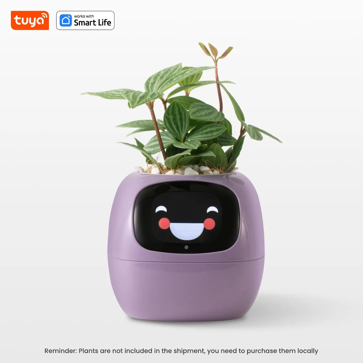 Tuya Ivy Smart Planter with AI, Sensors & 49 Expressions