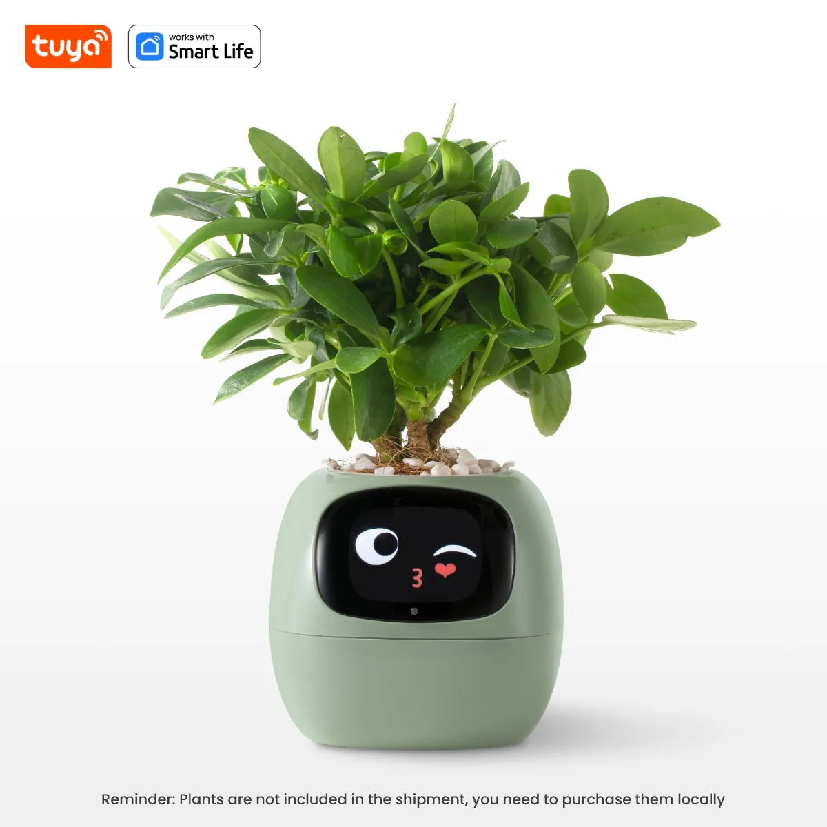 Tuya Ivy Smart Planter with AI, Sensors & 49 Expressions