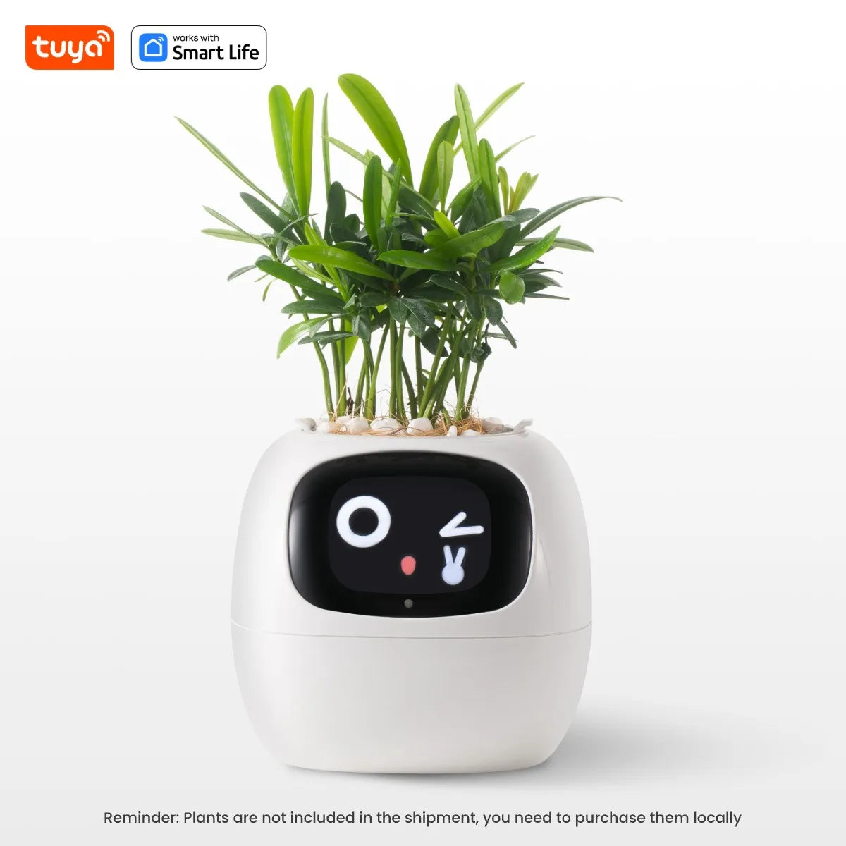 Tuya Ivy Smart Planter with AI, Sensors & 49 Expressions
