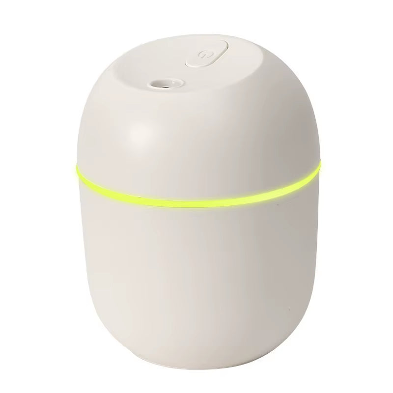 Mini USB Humidifier & Essential Oil Diffuser with LED Lamp