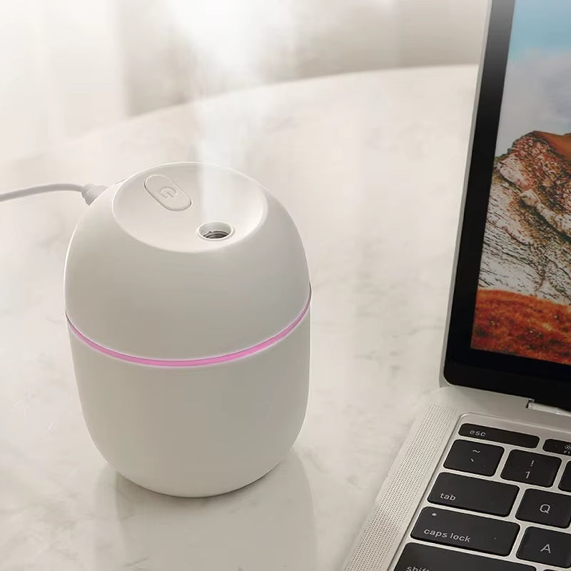 Mini USB Humidifier & Essential Oil Diffuser with LED Lamp