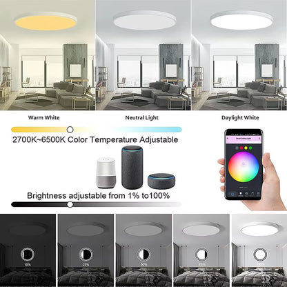 Tuya Smart 24W WiFi Ceiling Light RGB, Alexa & Google Control