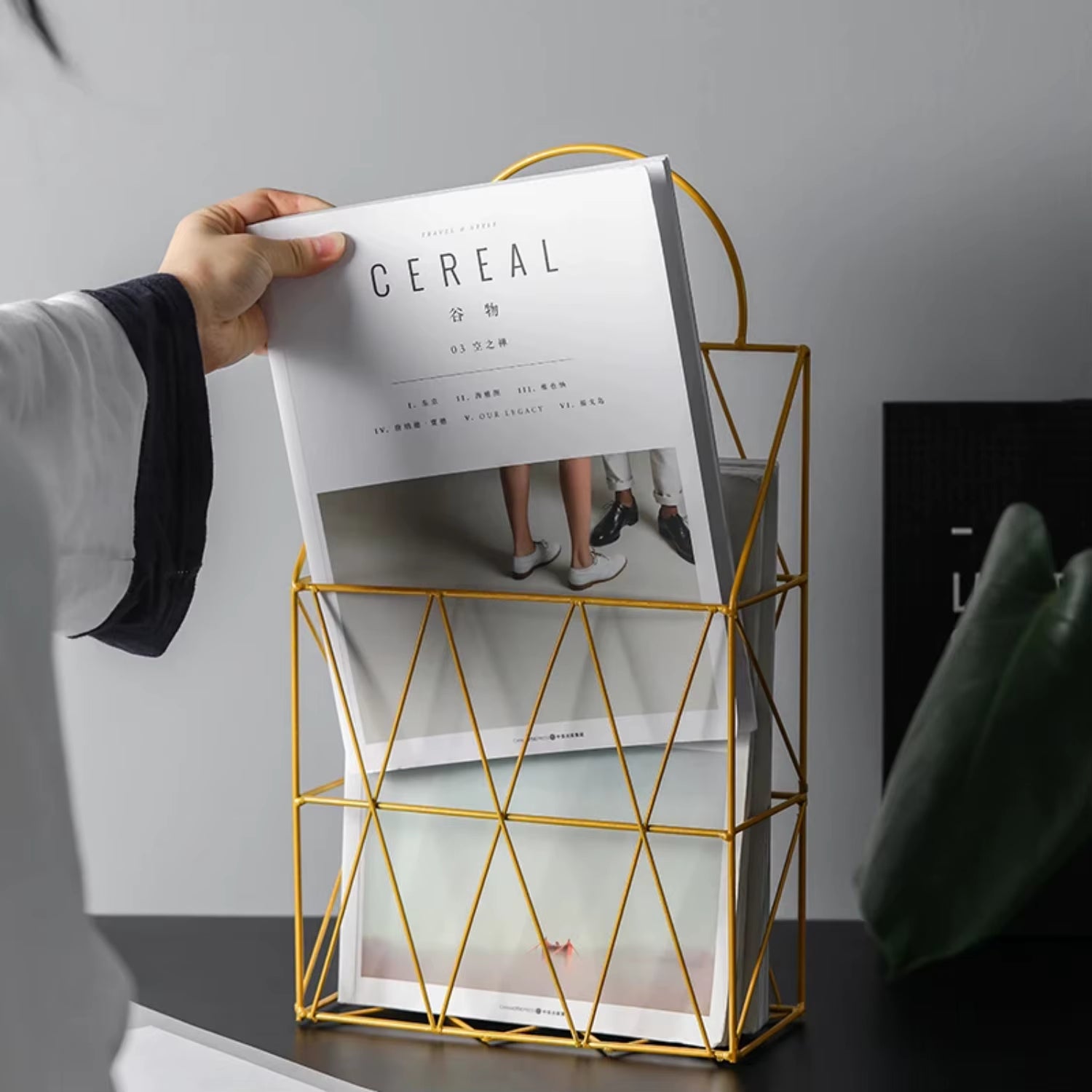 "Nordic Metal Wall-Mounted Magazine & Newspaper Display Rack"