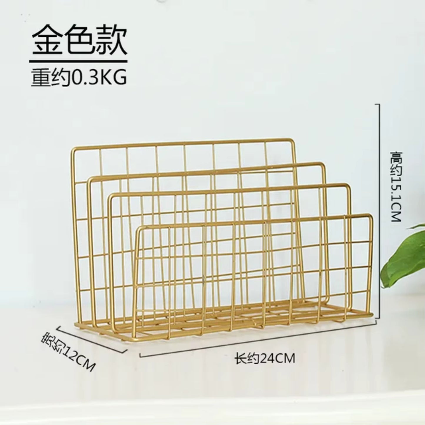 "Nordic Metal Wall-Mounted Magazine & Newspaper Display Rack"