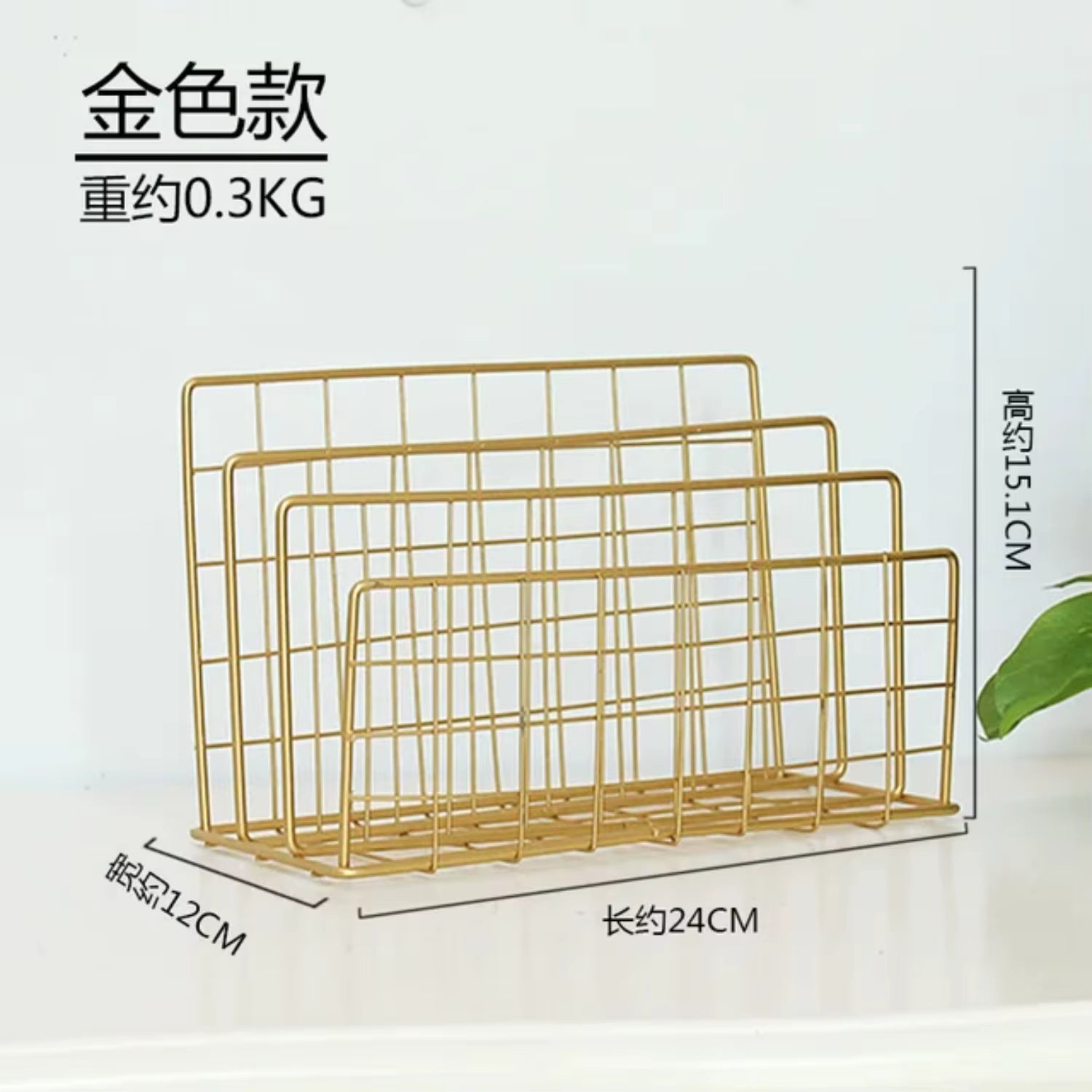 "Nordic Metal Wall-Mounted Magazine & Newspaper Display Rack"