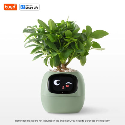 Tuya Ivy Smart Planter with AI, Sensors & 49 Expressions