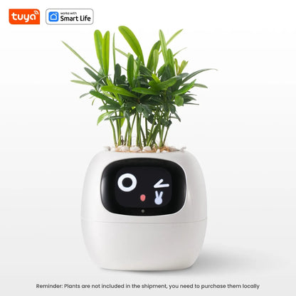 Tuya Ivy Smart Planter with AI, Sensors & 49 Expressions