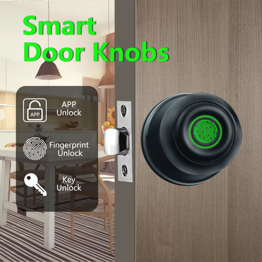 Z50 Biometric Fingerprint Smart Lock with Remote Control