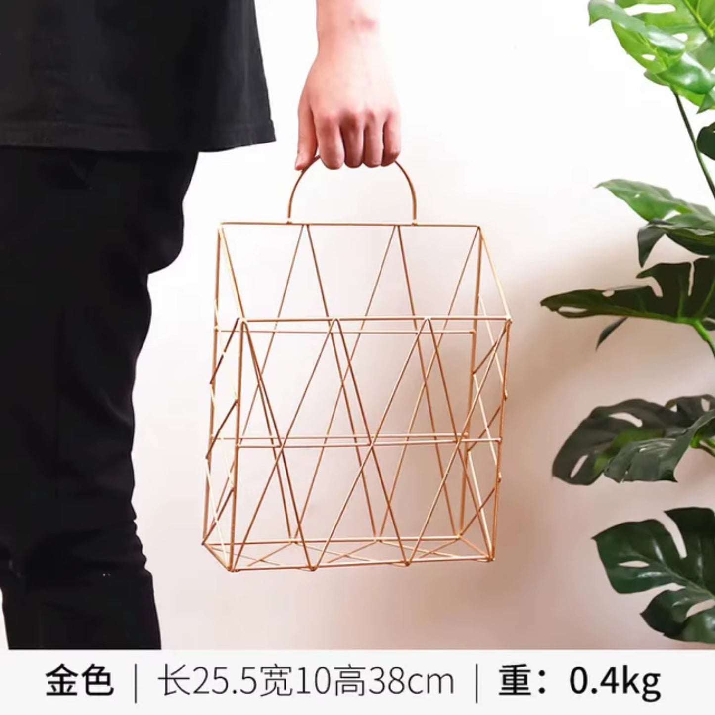 "Nordic Metal Wall-Mounted Magazine & Newspaper Display Rack"